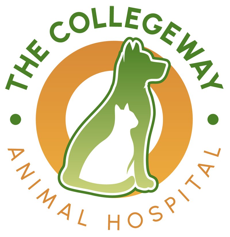 The Collegeway Animal Hospital